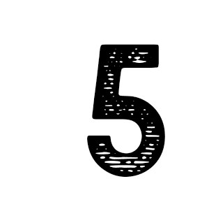 49 días para crear tu infoproducto por WhatsApp