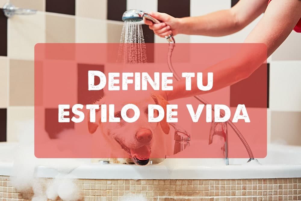 Define tu Estilo de Vida